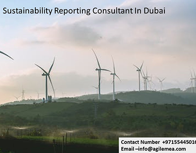 Sustainability Reporting Consultant In Dubai