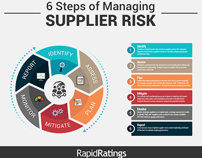 Managing Supplier Risk infographic