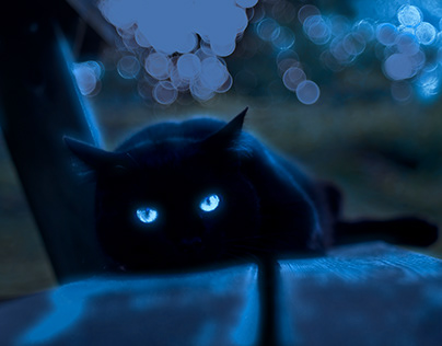 Cat with Glowing Eyes