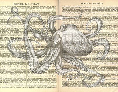 Octopus Encyclopedia Britanica 11th Edition