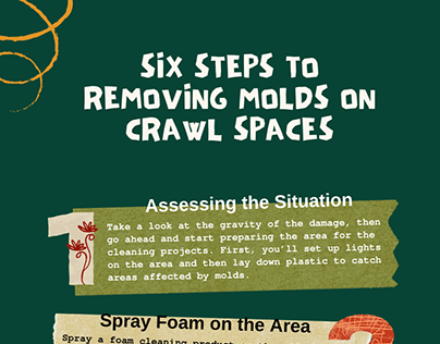 Six Steps to Removing Molds on Crawl Spaces