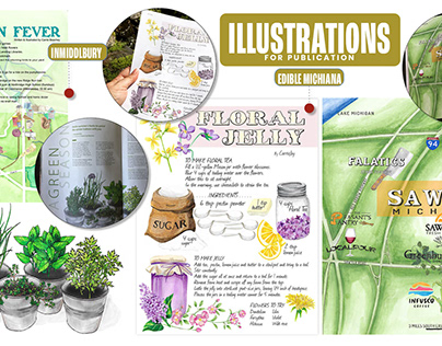 Illustrations for publication
