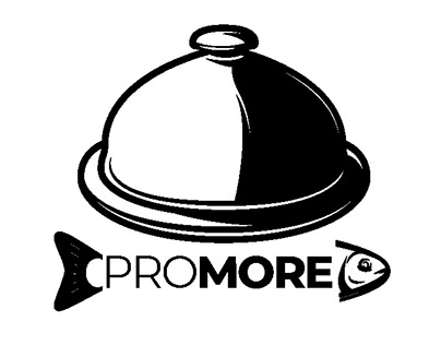 #PROMORE logo concepts project | OCT 2022