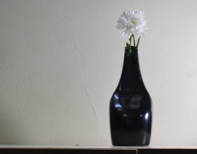 Flower Vase : Form Studies
