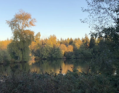Autumn view