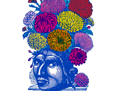 Illustrations flower heads