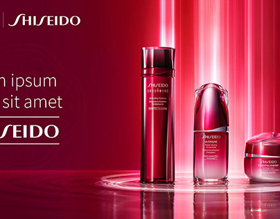 Shiseido China Presentation