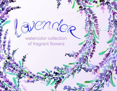 Collection with the image of lavender flowers.