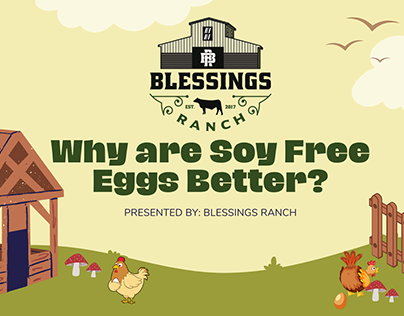 Why are Soy Free Eggs Better?