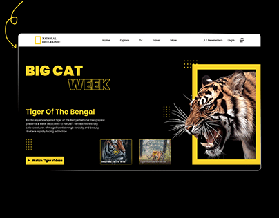 National Geographic Website Design