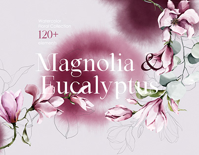 Magnolia & Eucalyptus. Watercolor