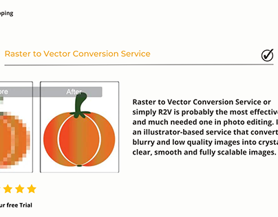 Raster to Vector Conversion Service