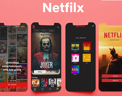 Netflix ( App UI )