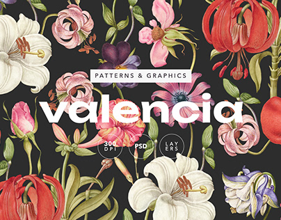 Valencia Elegant Floral Pattern