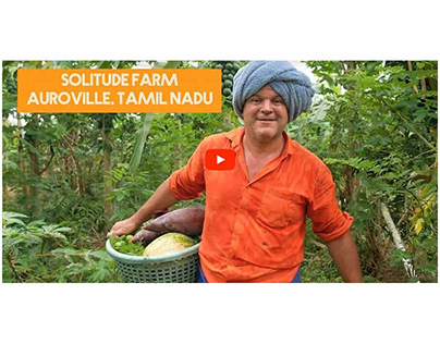 Permaculture: Sustainable and Green living