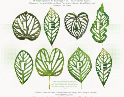 Leaf Type