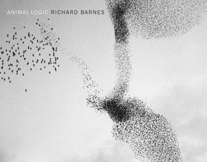 Animal Logic: Richard Barnes