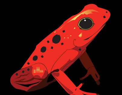 RED FROG Graphic / Logo