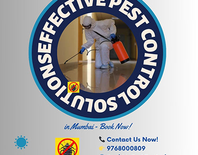 Effective Pest Control Solutions in Mumbai - Book Now!