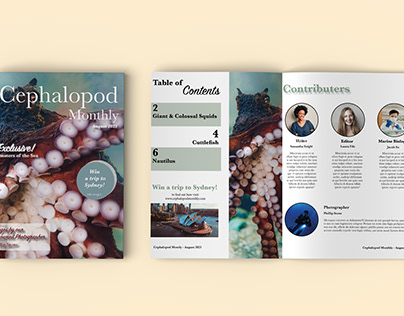 Cephalopod Magazine