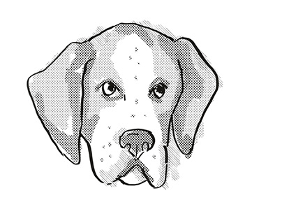 American Foxhound Dog Breed Cartoon Retro Drawing