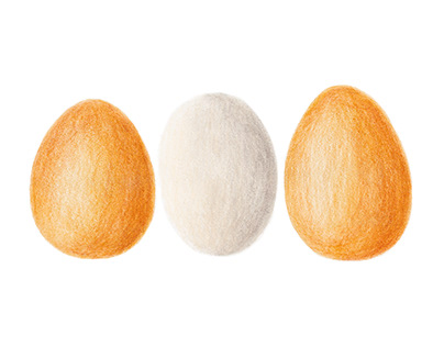 Eggcellent Eggs