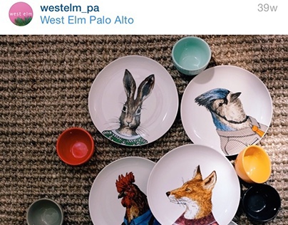 Instagram Content for West Elm-Palo Alto