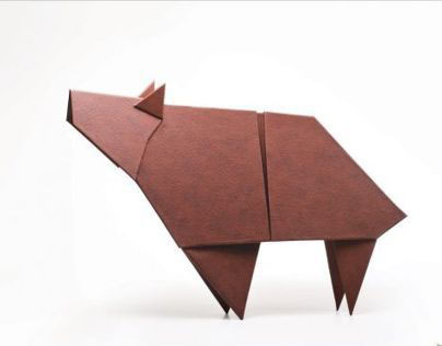 Rexiine House Origami Campaign