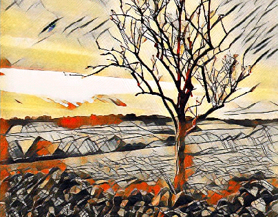 the burning tree