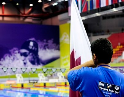 FINA/ARENA World Swimming Cup - Doha 2012