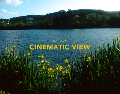 CINEMATIC VIEW