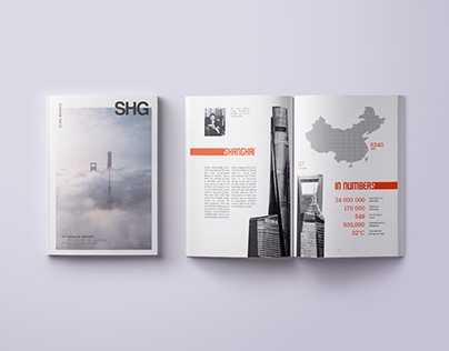 Internship Report - SHANGHAI