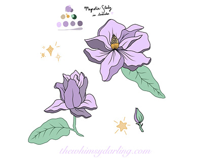 Magnolia Study in Lavender