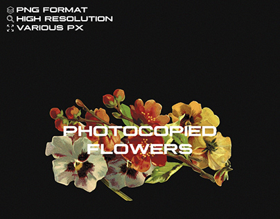 Photocopied FlowersPhotocopied Flowers