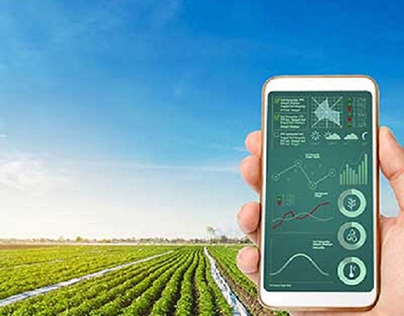 Smart Farming Solutions in Agricultural Sector