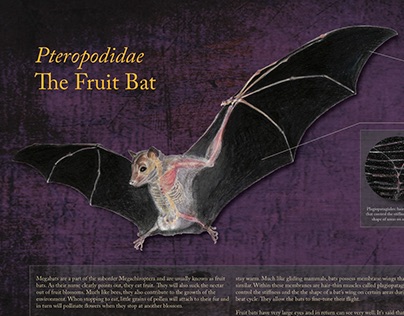 Fruit Bat Composite Poster