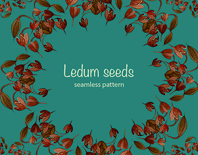 Pattern Ledum seeds
