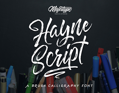 Hayne Typeface (Script & Sans)