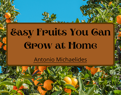 Easy Fruit You Can Grow at Home