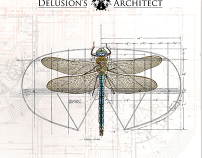 Delusion's Architect's Exile album cover