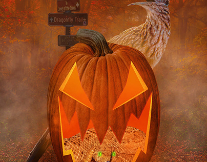 Happy Halloween From Dragonfly Trail