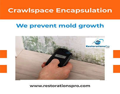 Crawlspace Encapsulation Services
