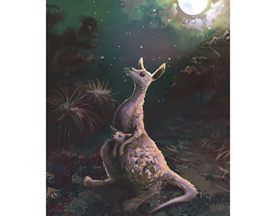 Night Bush Kangaroo
