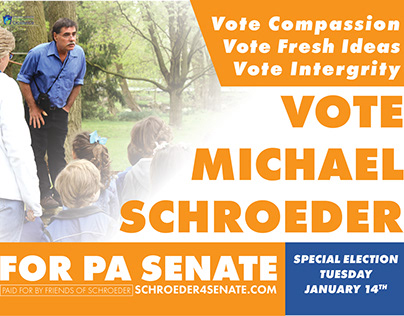 Flyer Design for PA Senate Candidate