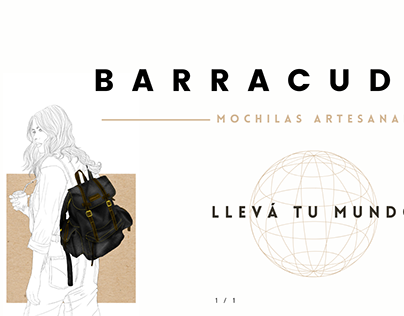 Barracuda - Brand Identity
