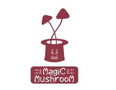 Magic Mushroom - An  Intoxicating Magical Experience.