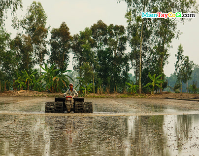 Farmer in Mekong Delta Vietnam