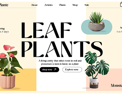 Landing page for Home Grown Plants