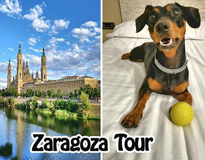 Video Zaragoza Tour