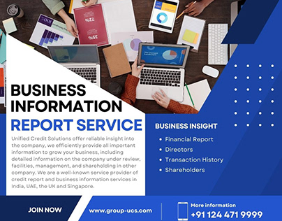 Business Information Service and Credit Report in India